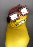 Sock Puppet Portrait of Theodore